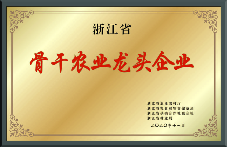 農產品批發零售一體化經營策略與實踐指南