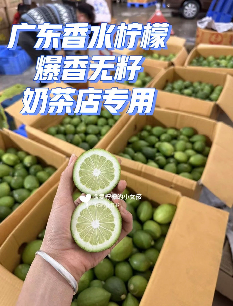 四季飄香的廣東香水檸檬，手打檸檬茶的靈魂伴侶